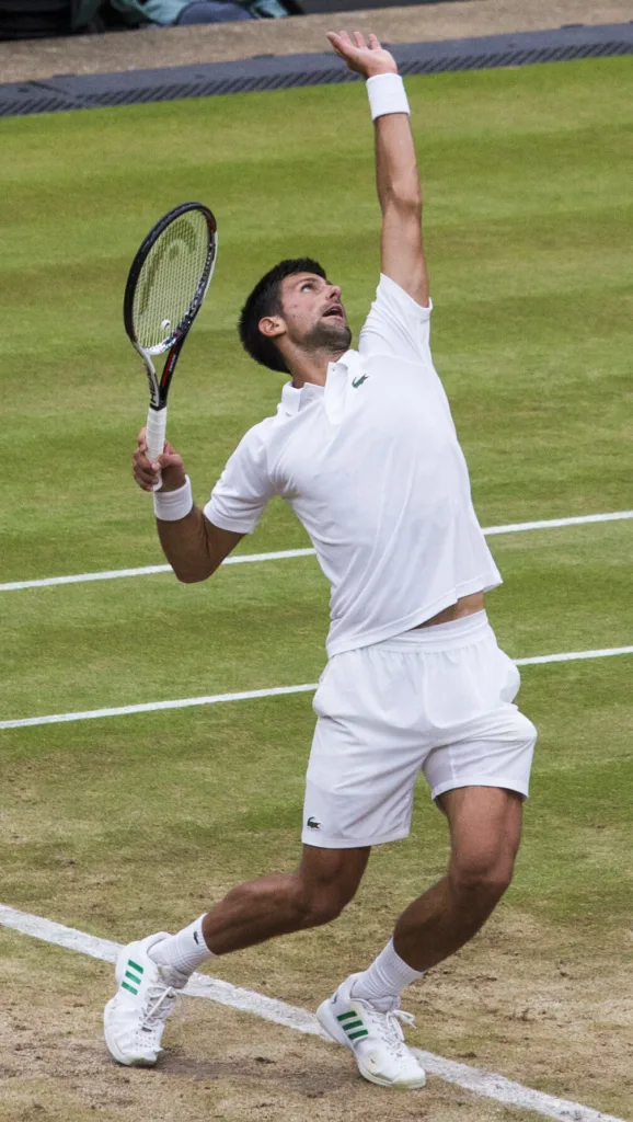 hindrance tennis Djokovic Wimbledon